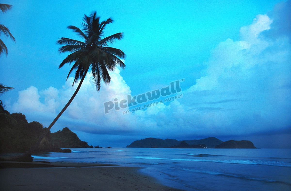 Landscape - Sea, coconut palm, Trinidad and Tobago