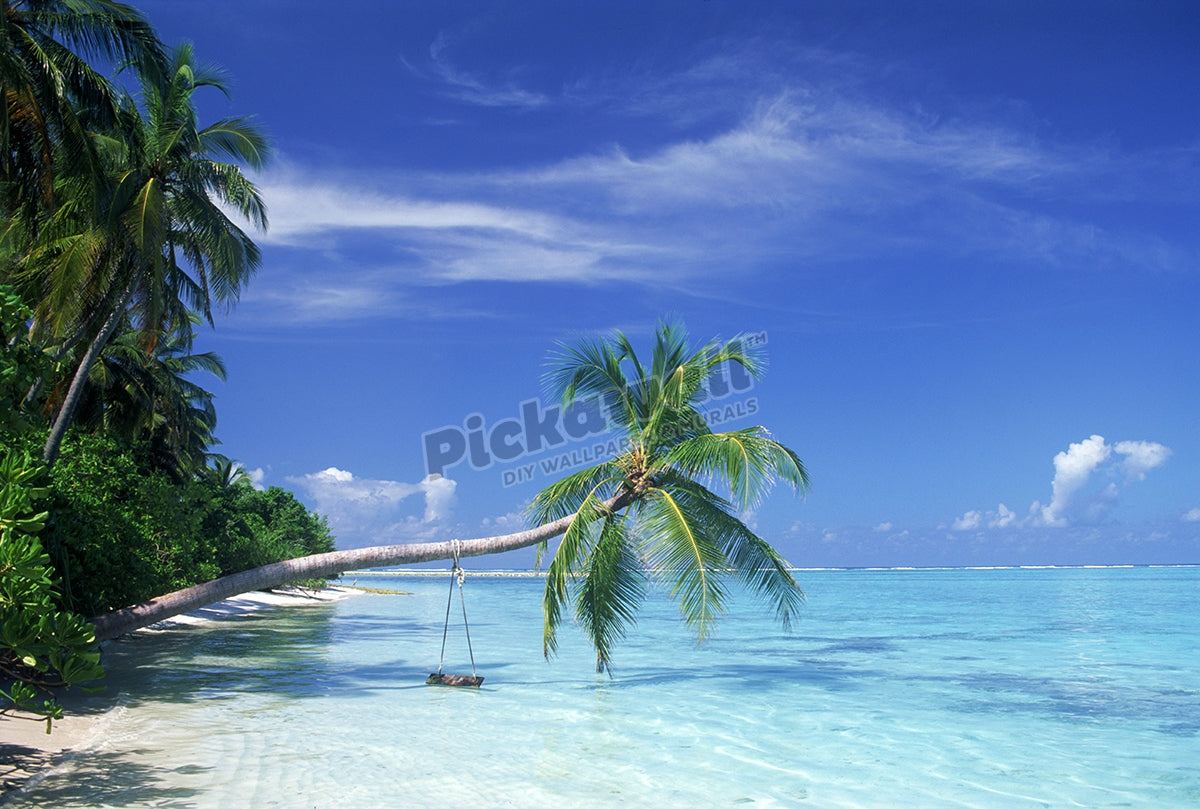 Water - Palm tree and sea