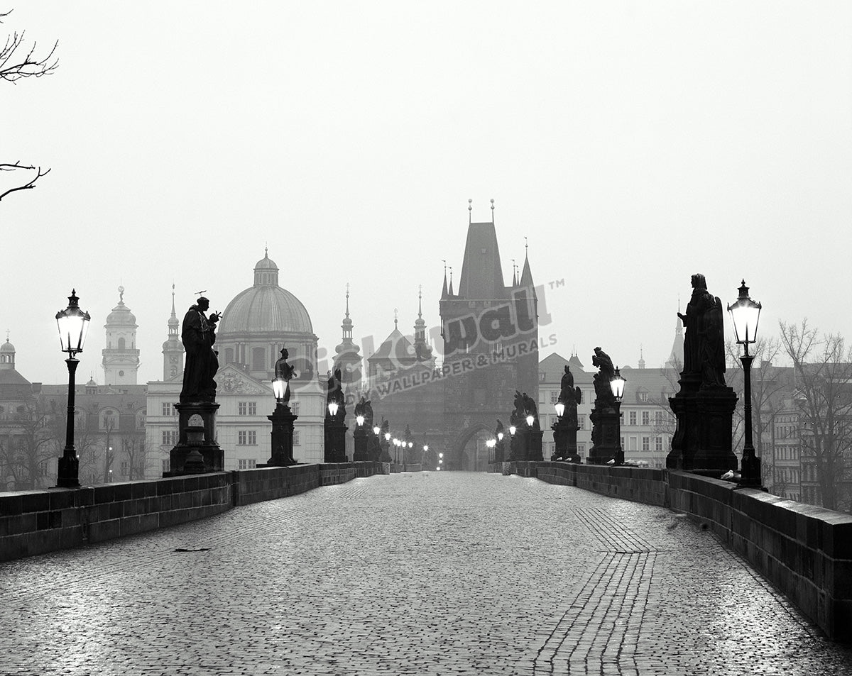 Charles Bridge Czech Republic