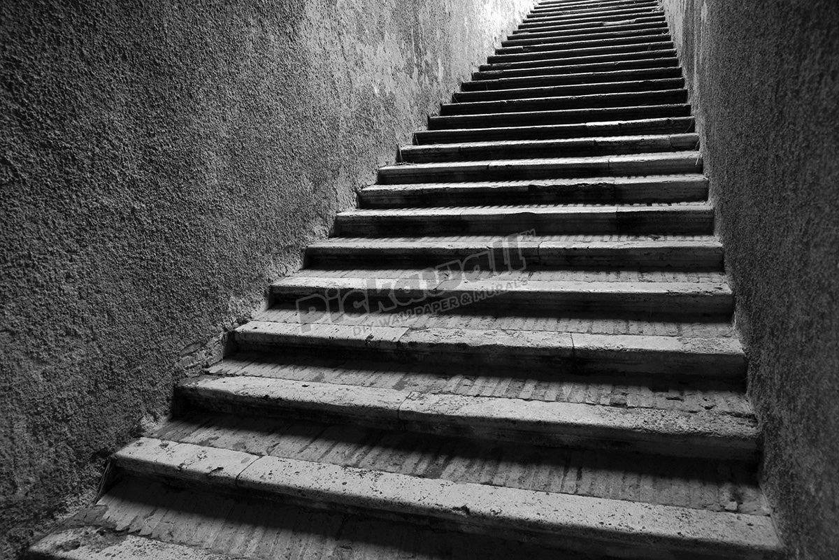 Stairs, Black and White