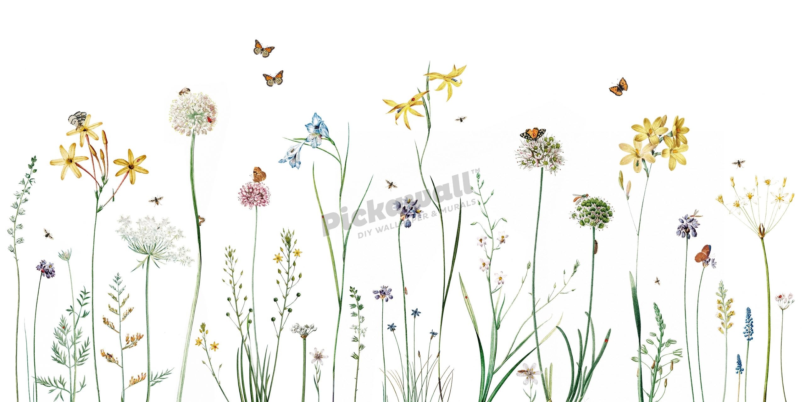 Butterfly Garden by Sir Edward