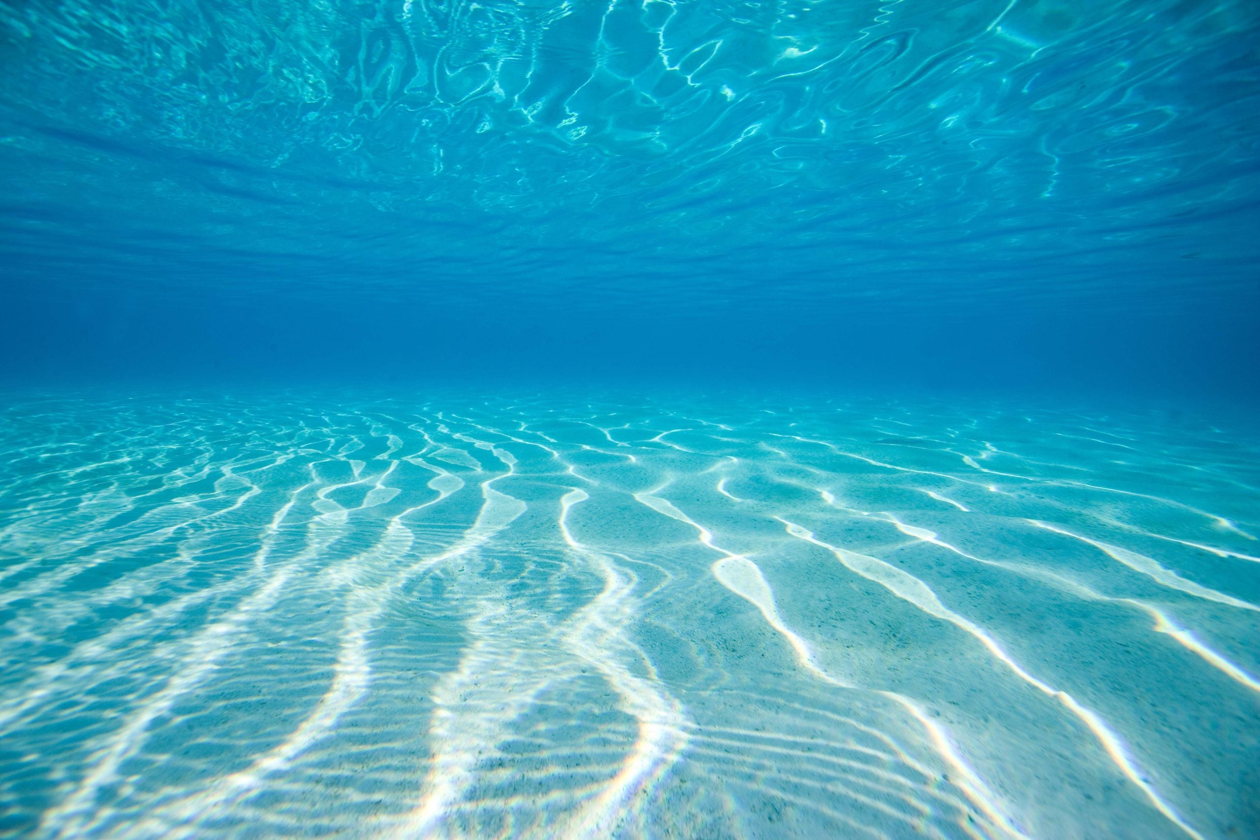 Water  - Under the sea
