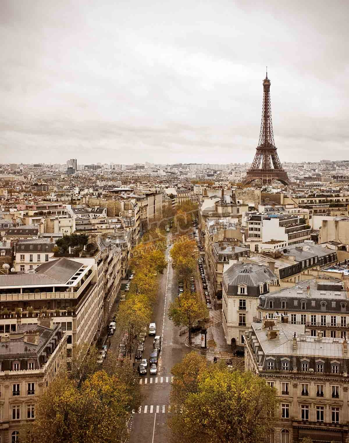 Paris skyline with Eiffel Tower.