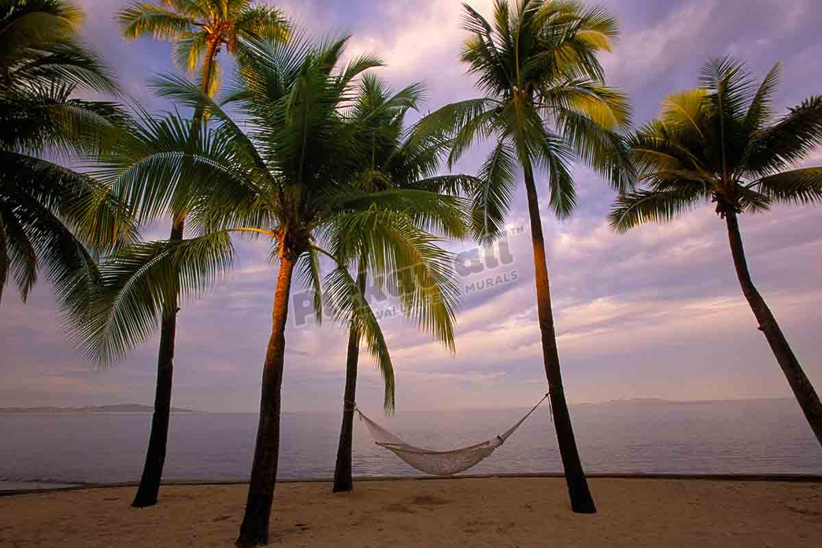 Palm trees with hammock on beach, Fiji, Pacific Ocean