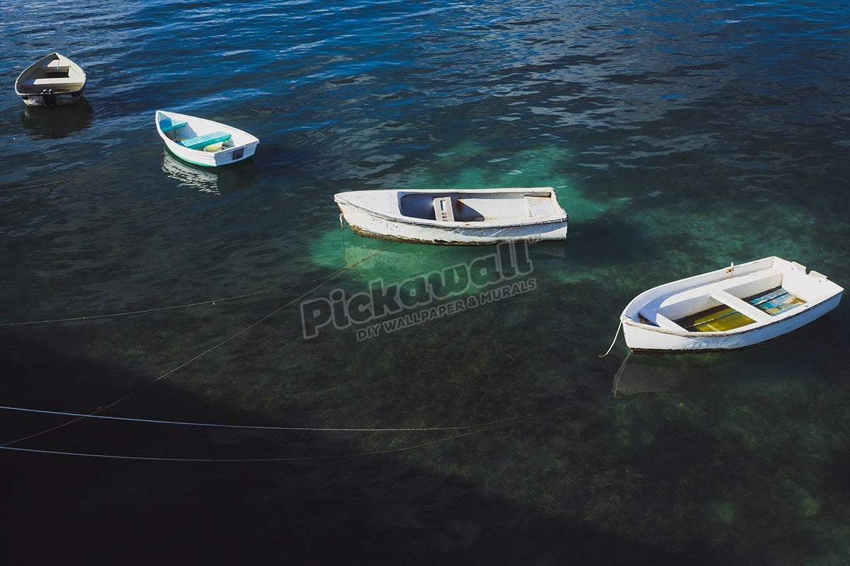 Row Boats, Flinders