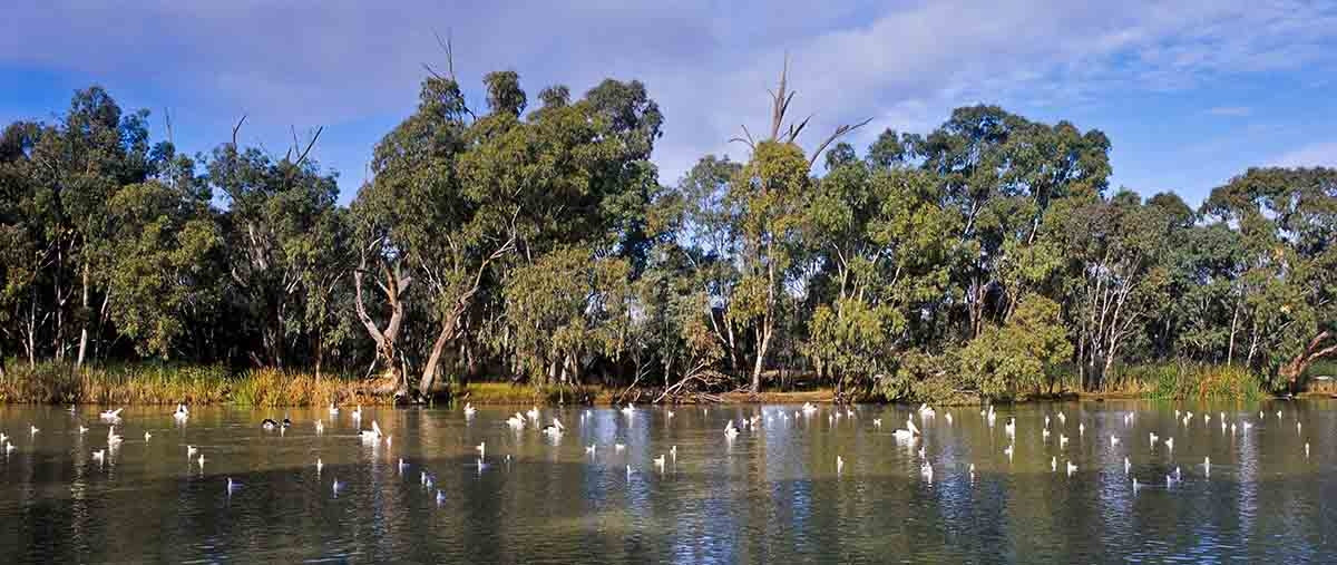 Junction of Darling and Murray Rivers, Australia