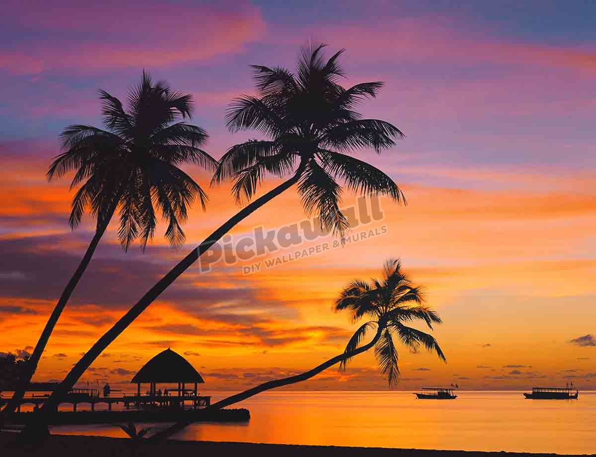 Water - Palm trees, ocean sunset