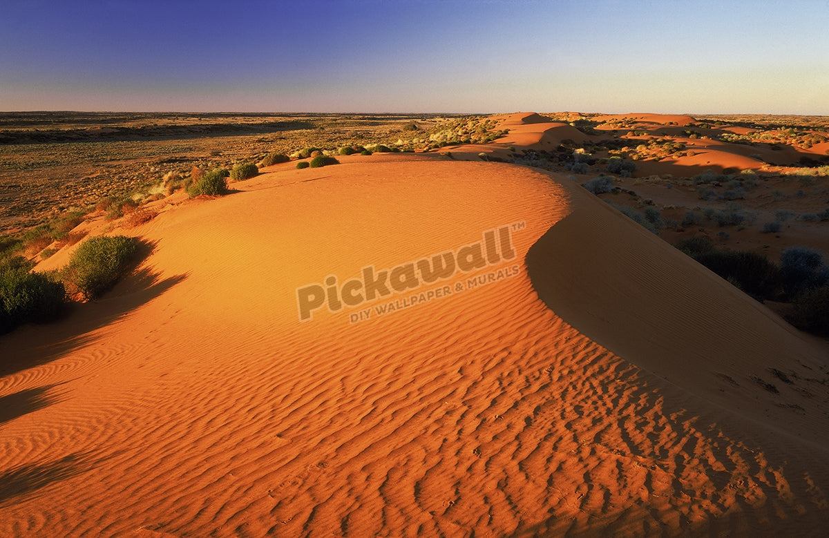 sand dunes at sunrise, simpson desert, sa, australia