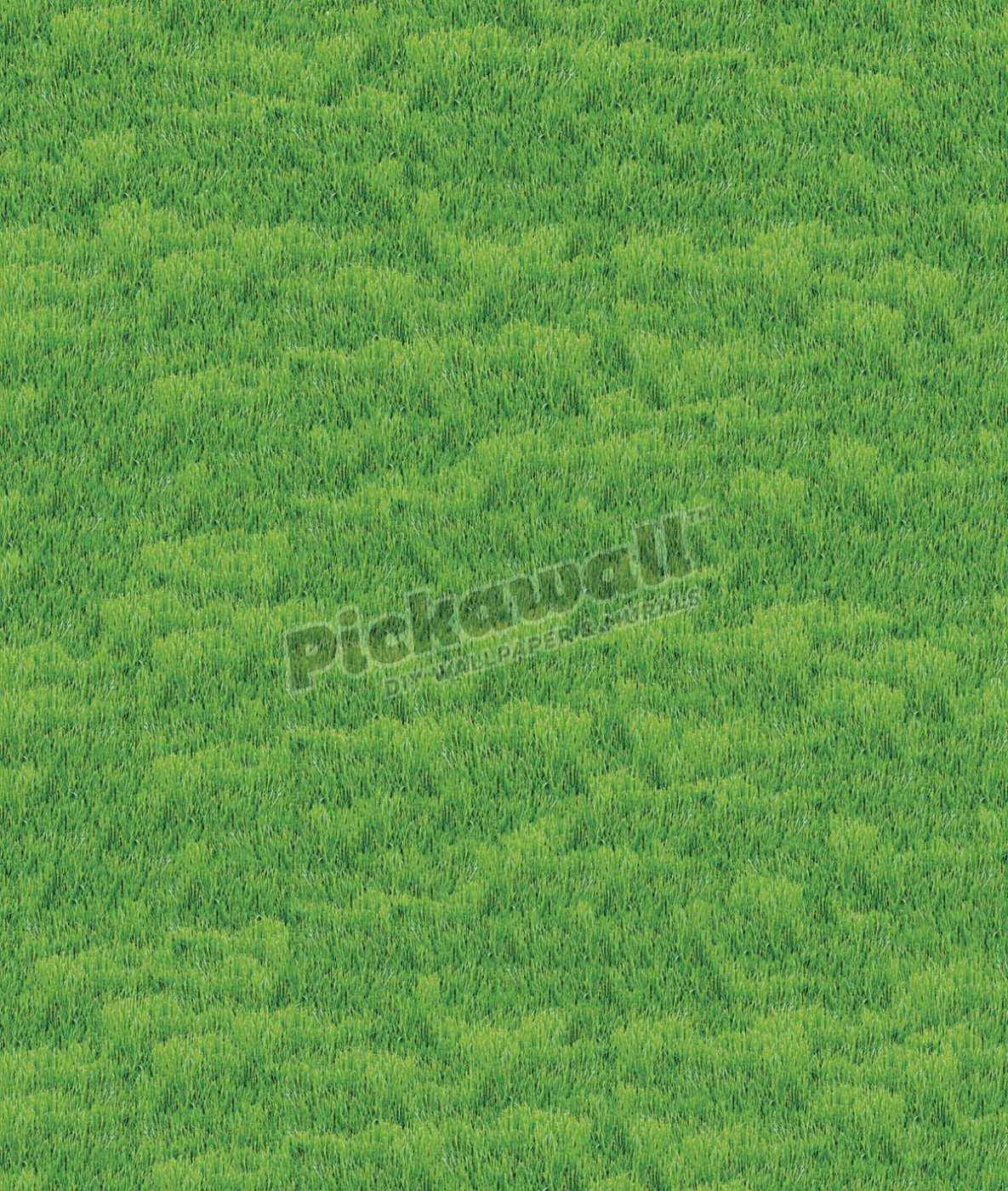 Wall of Grass