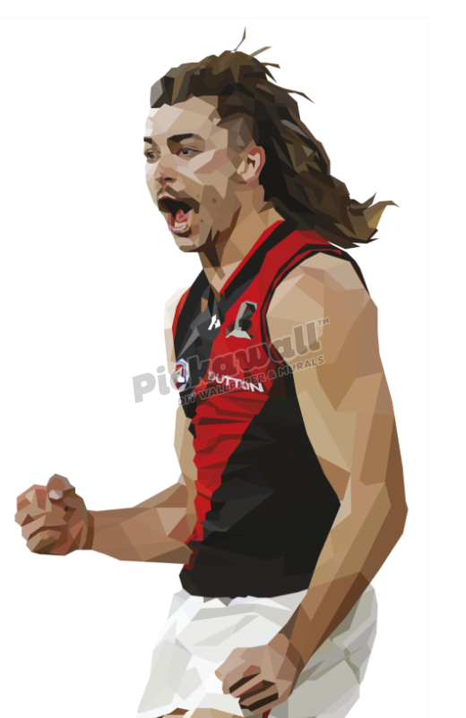 Sam Draper Decal by DG Designs X  AFL - Sam Draper Decal by DG Designs image