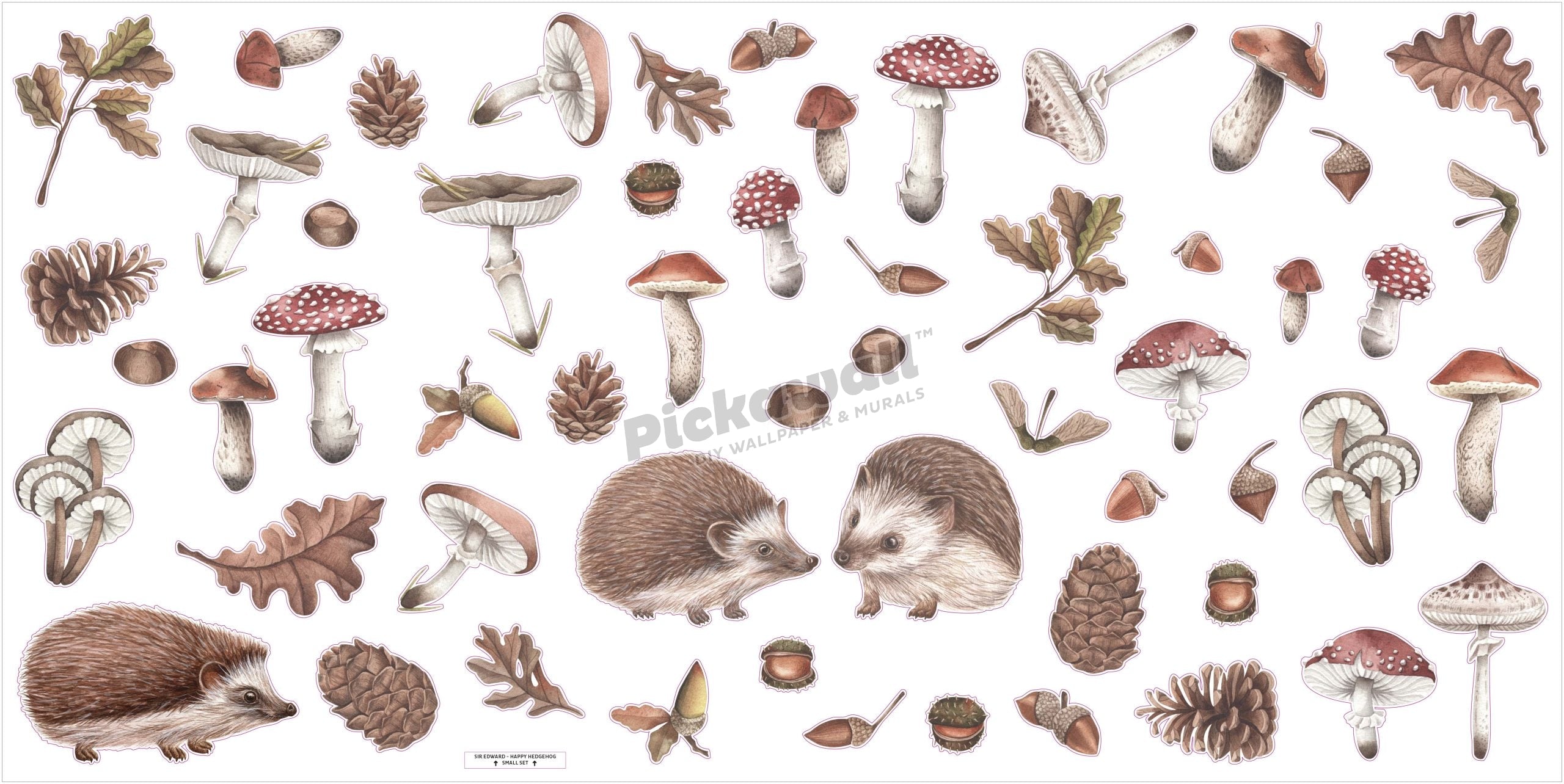 Happy Hedgehog Decal Set by Kikki Belle