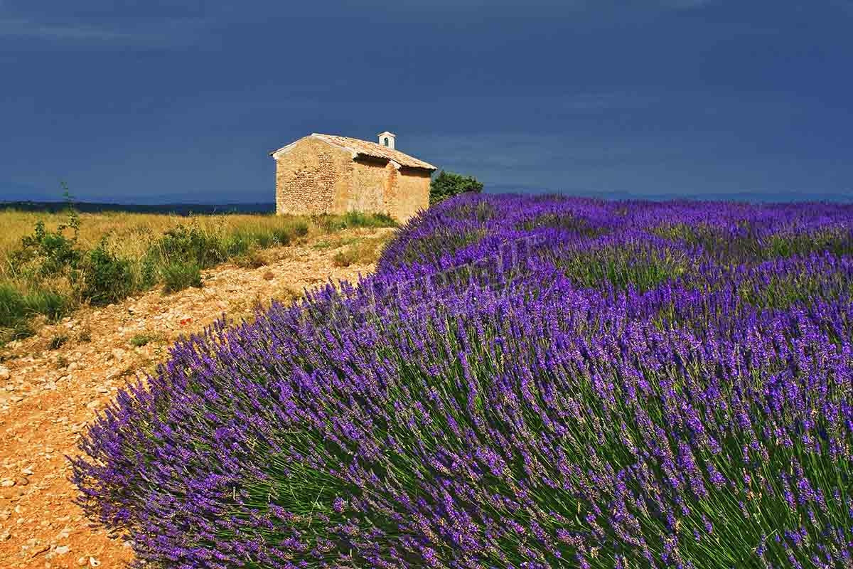 Entrevennes, Provence, France