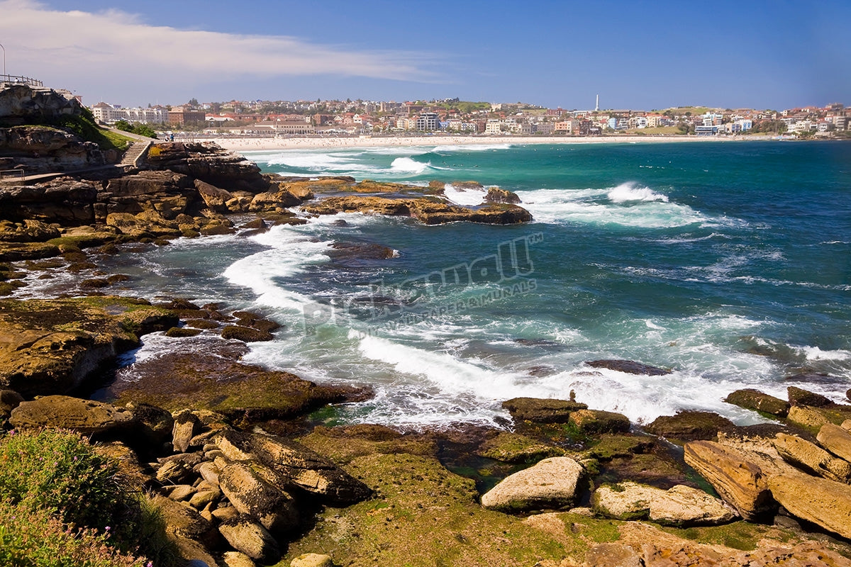 Bondi Beach, Sydney Summer