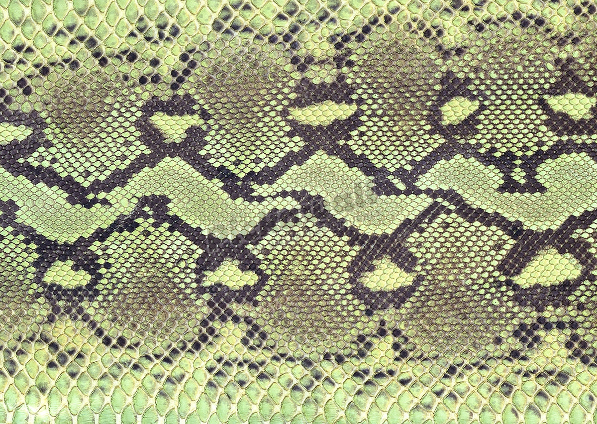 Snakeskin