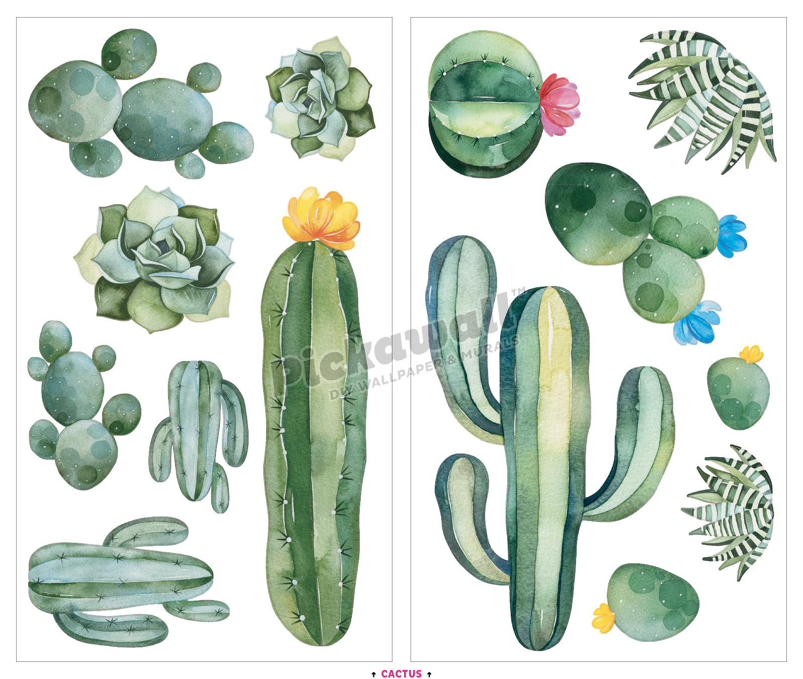 Cactus Decal Set - 14 catus decals image