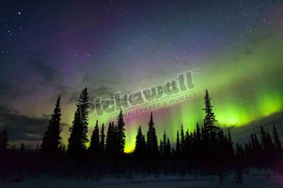 Northern Lights Alaska