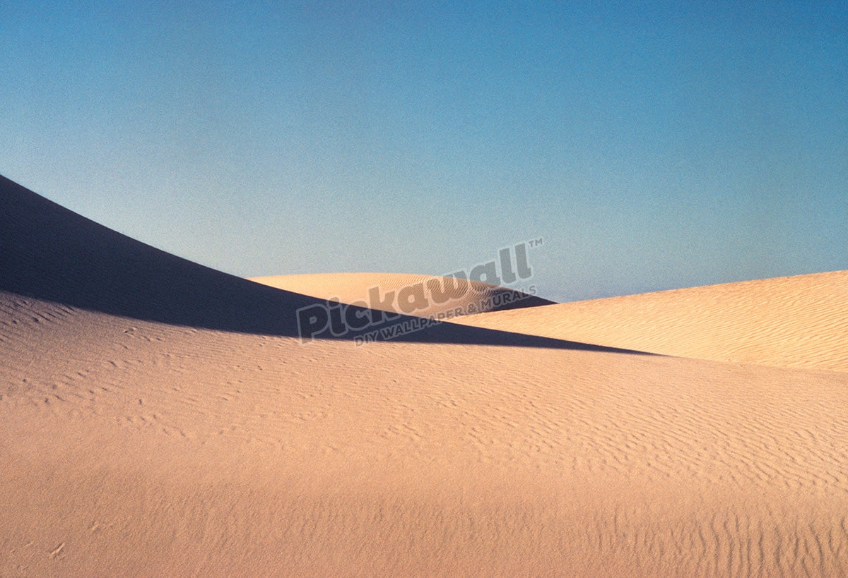 Stockton Bight sand dunes