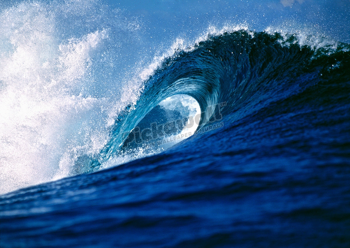 Wave, perfect curl, Tavarua Fiji Islands