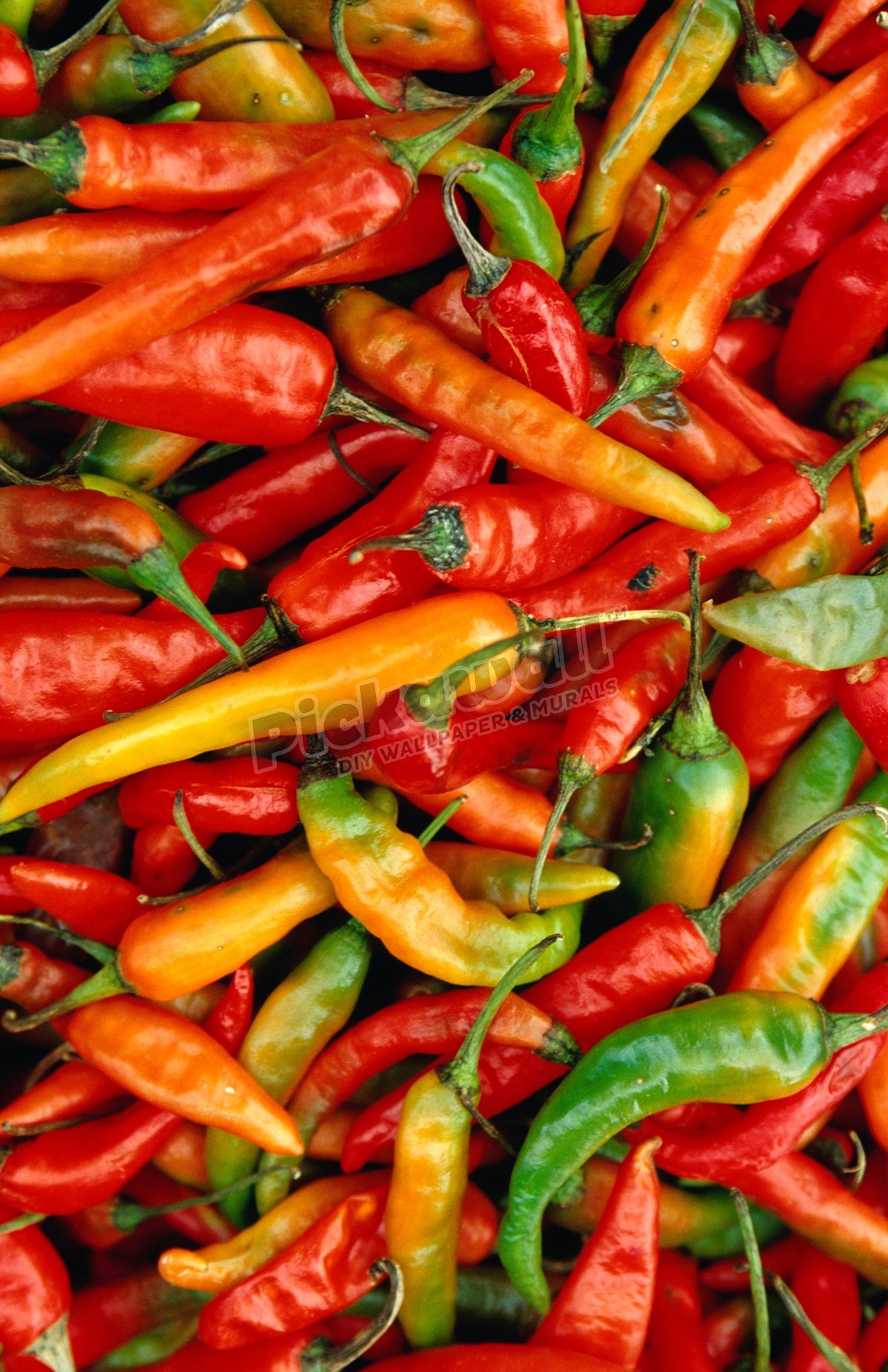 Chillies