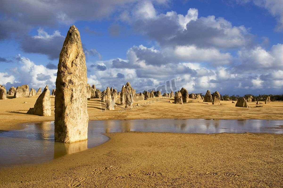 Limestone formations in Pinnacles Desert, near town of Cervantes.