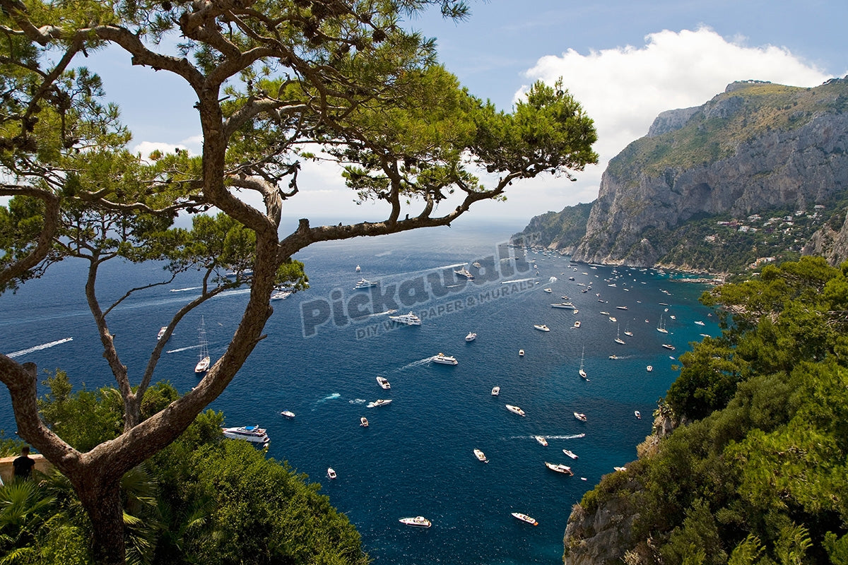 City of Capri, Sorrentine Peninsula Italy