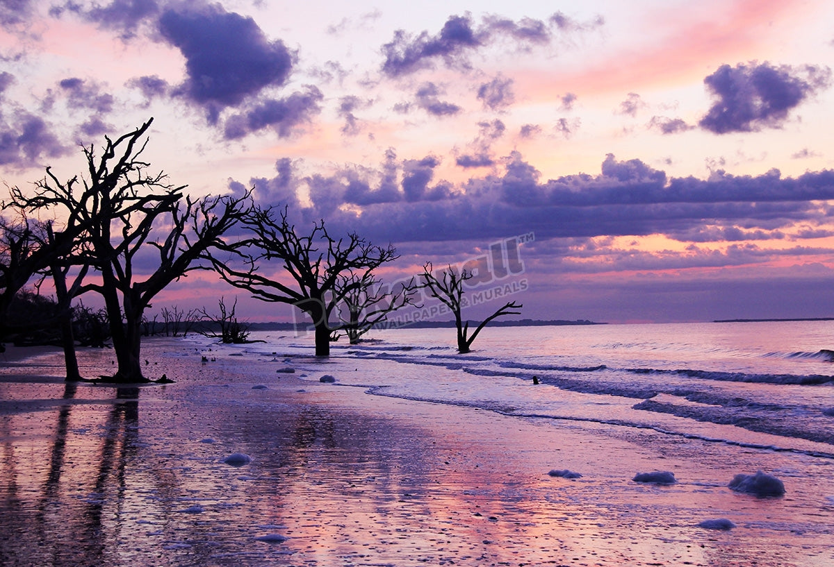 Sunrise at wild beach