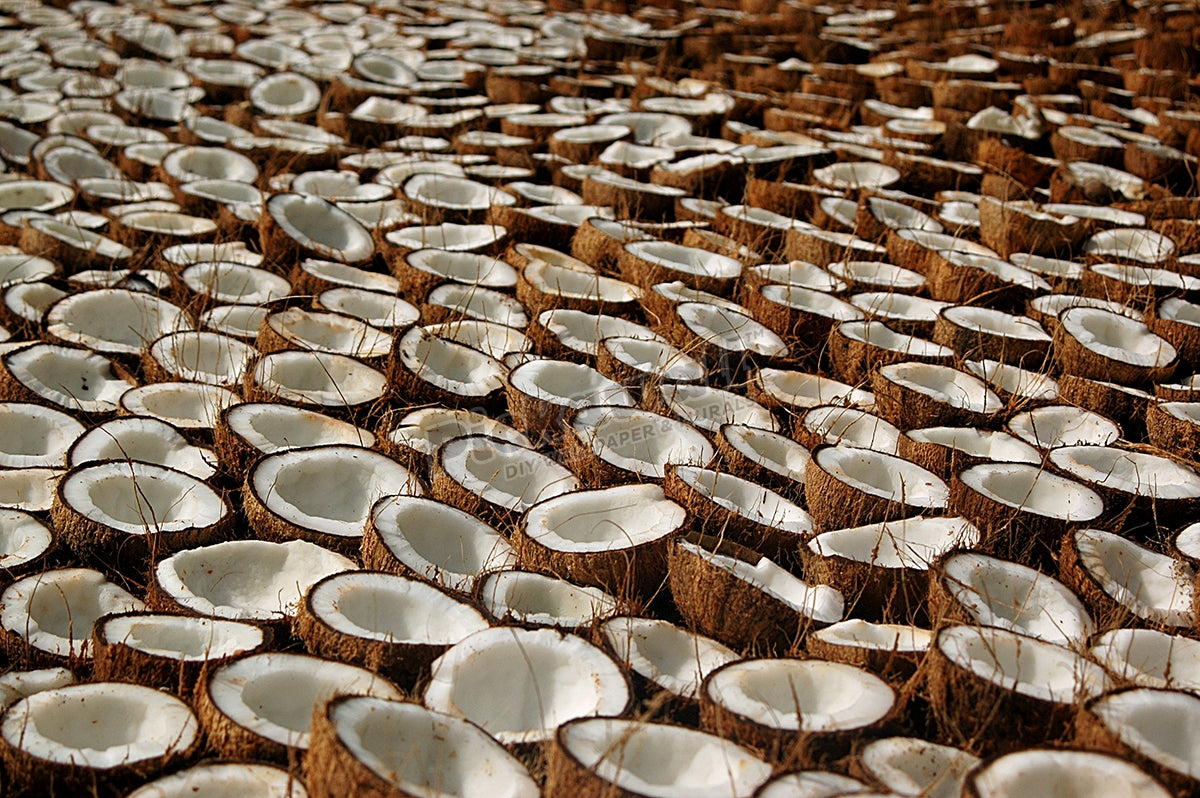 Coconuts