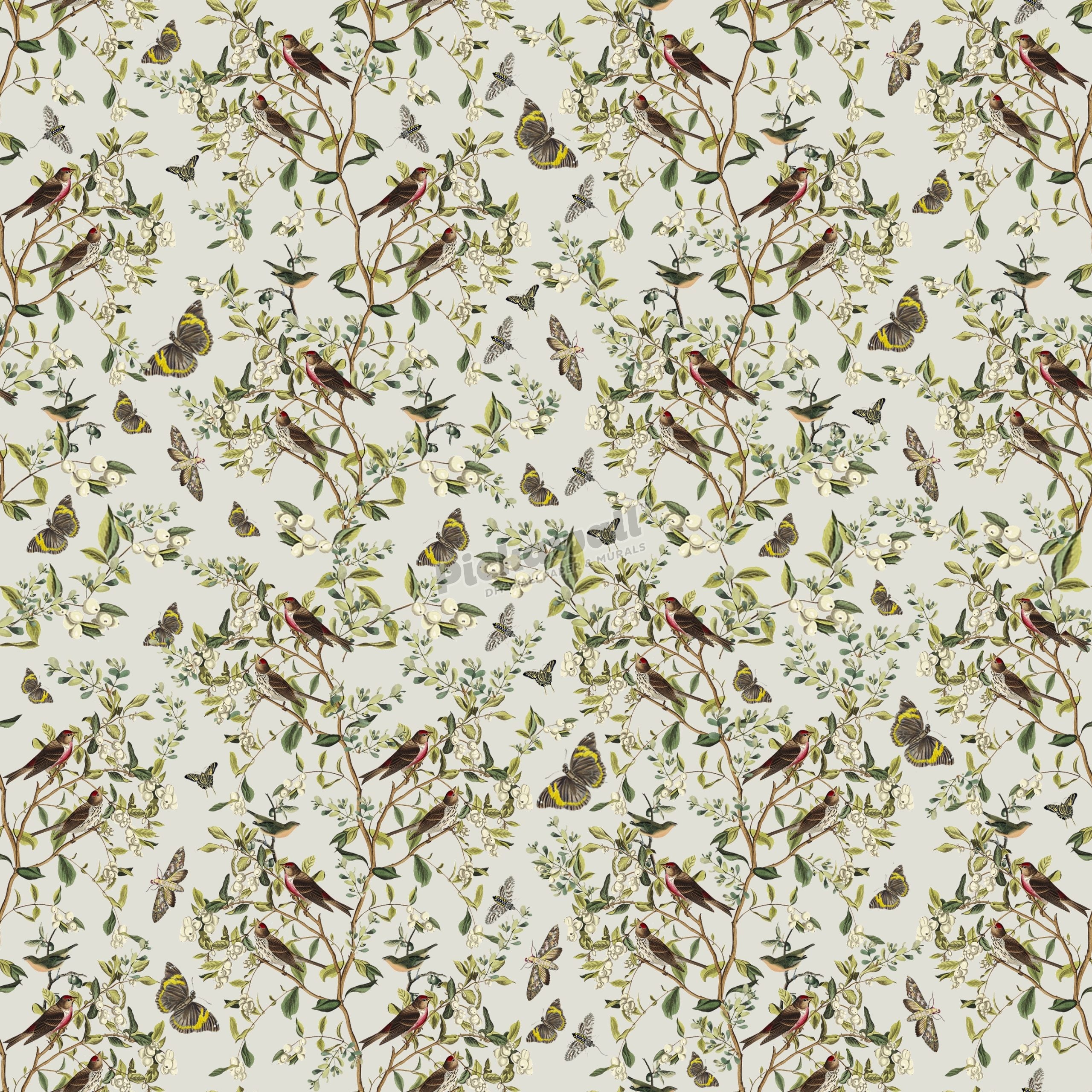 The Birds