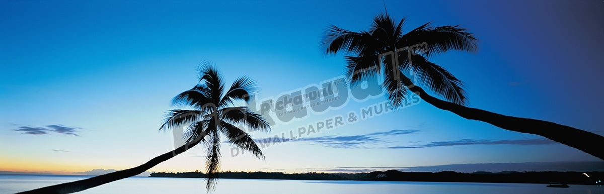 Sun sets behind two palm trees, Fiji