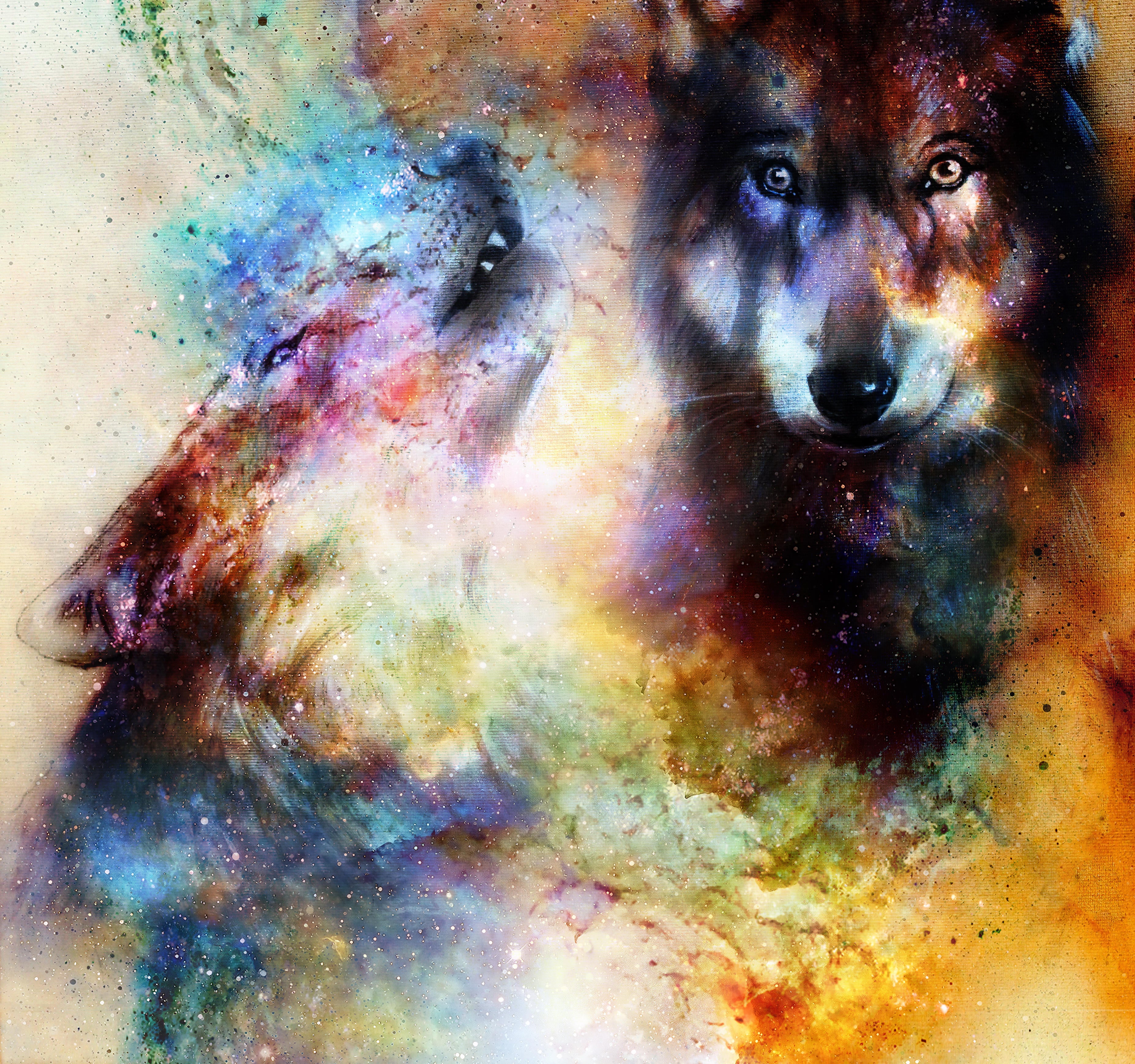 Magical space wolf