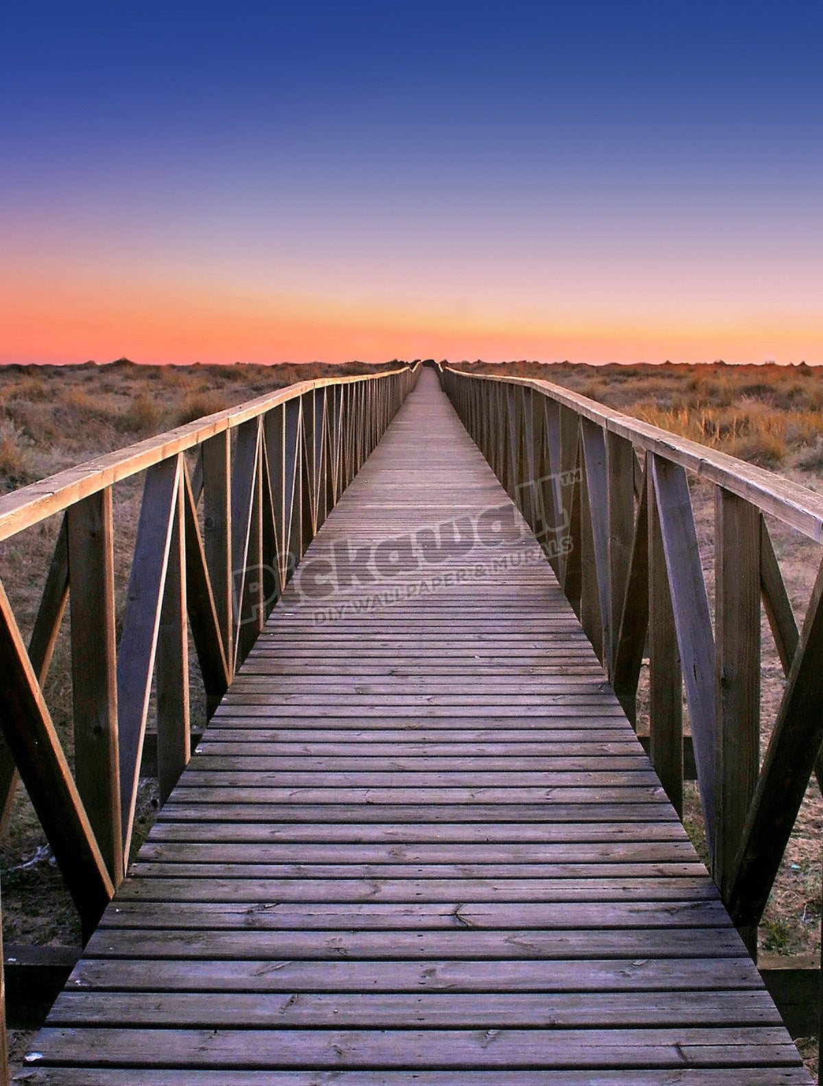 Path between dunes in Huelva