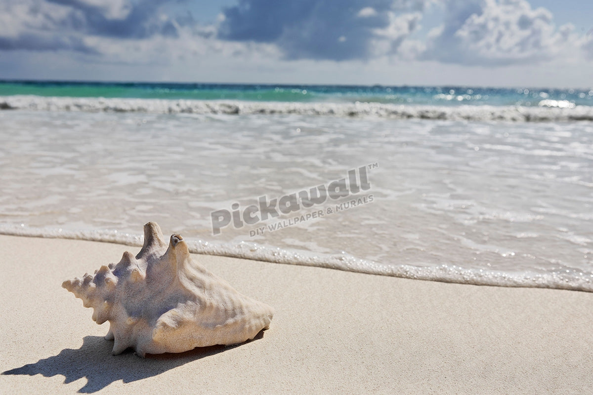 view of the beautiful white sand beach of tulum in yucatan mexico