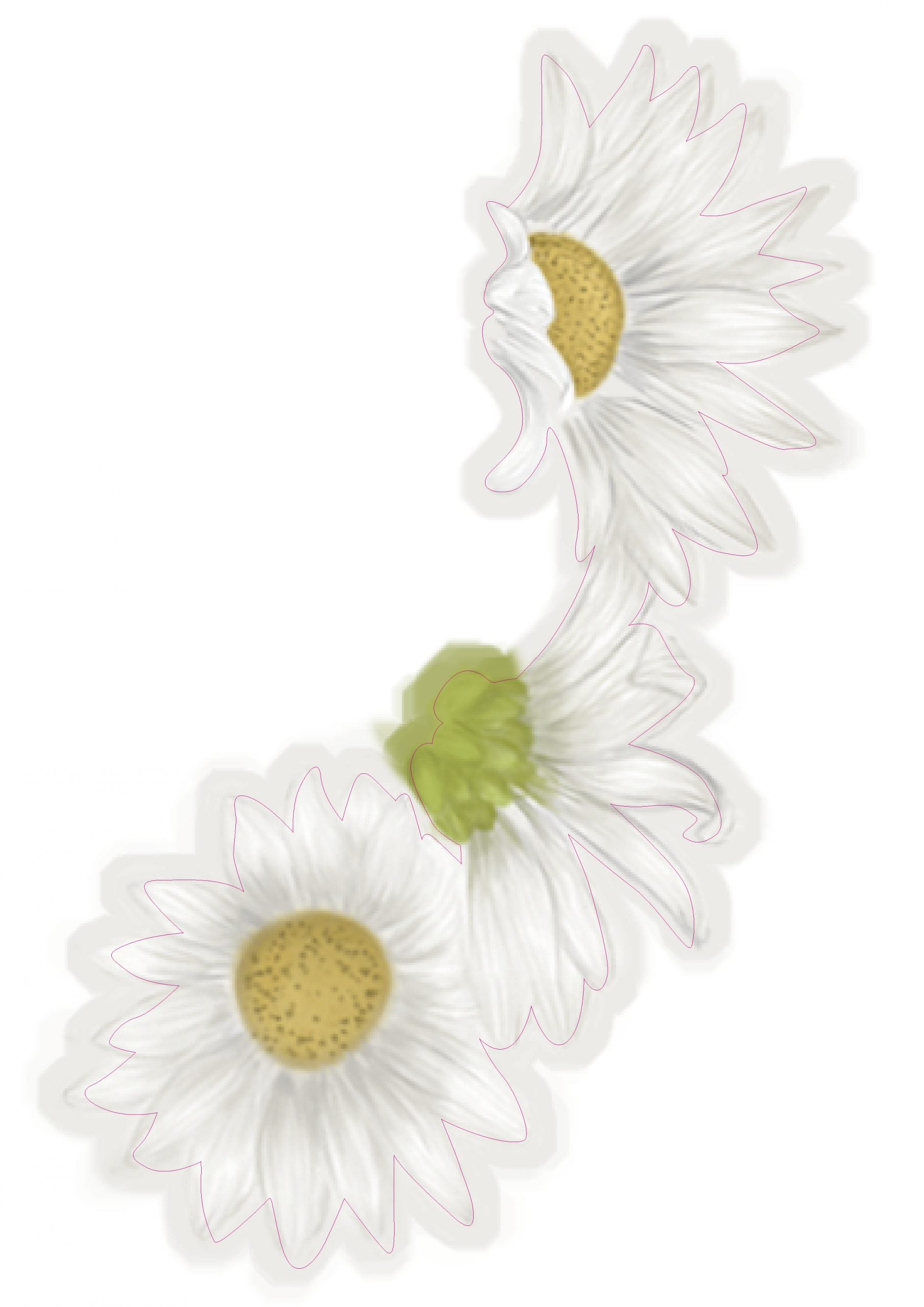 Gift of Life Decal set by STATE OF JOY - A4 Daisy Decal by STATE OF JOY image