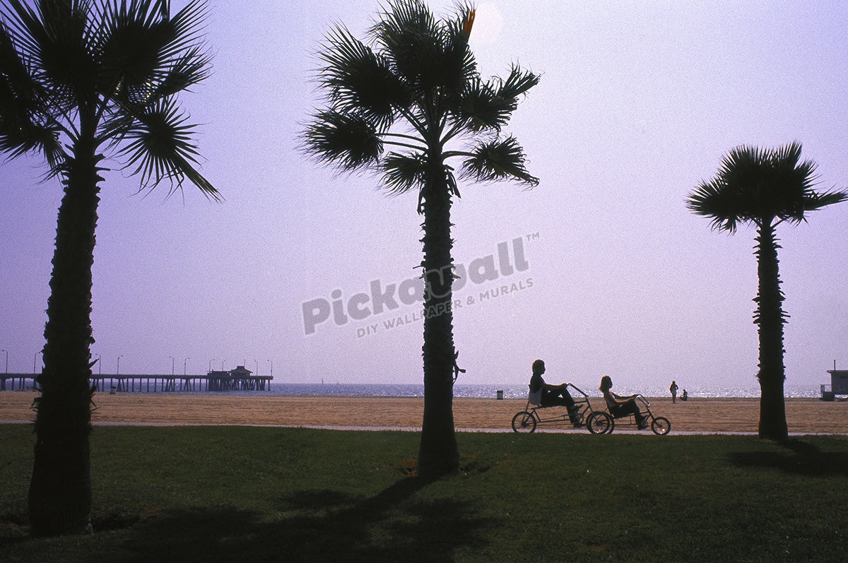 Cyclists, Venice Beach, CA