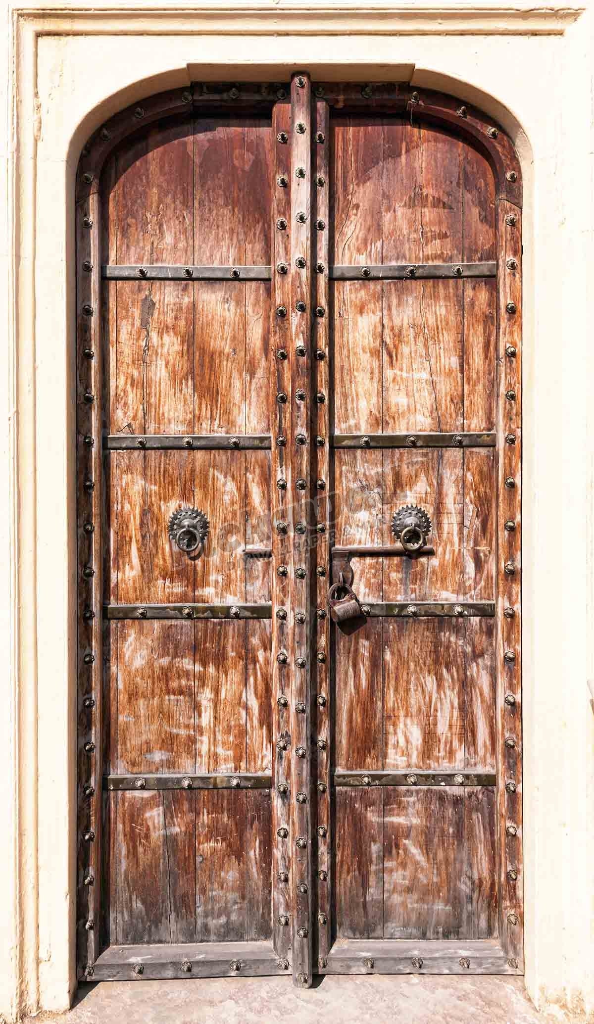 Rajasthan door
