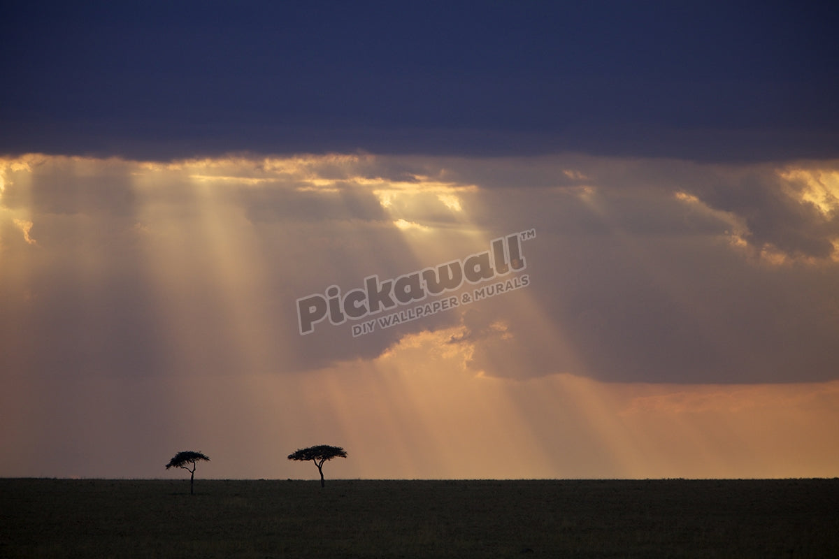 Sunset, Maasai Mara
