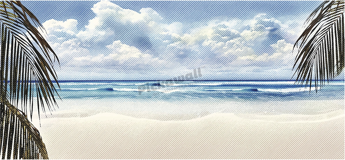 Tropical Beach and Palm Trees