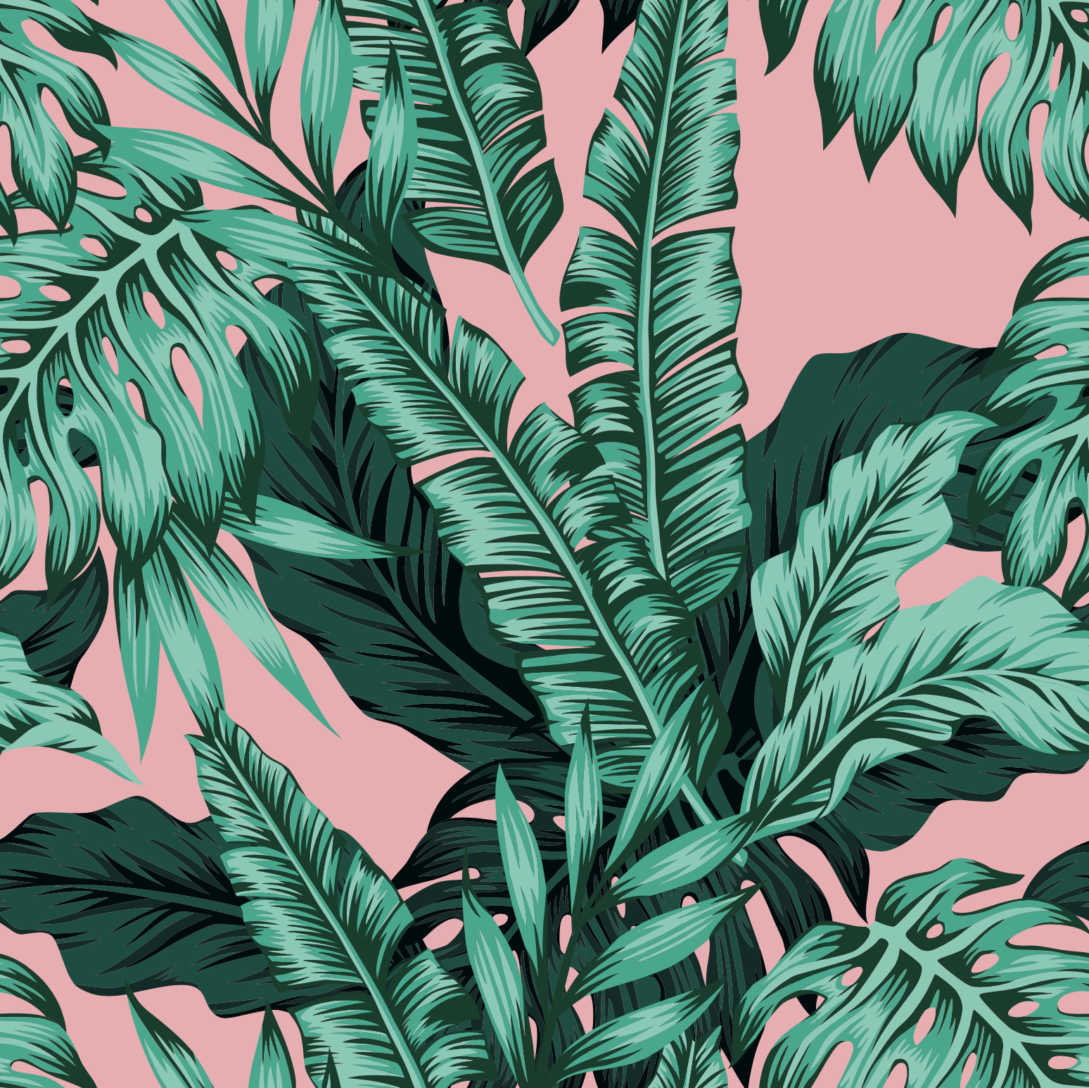 Tropical leaves with pink background
