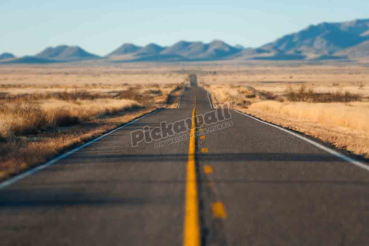 Arizona Desert Road