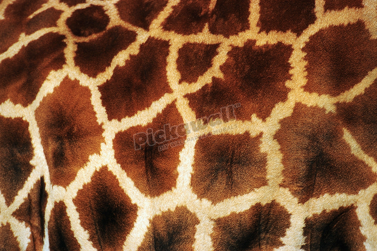 Skin of a Giraffe