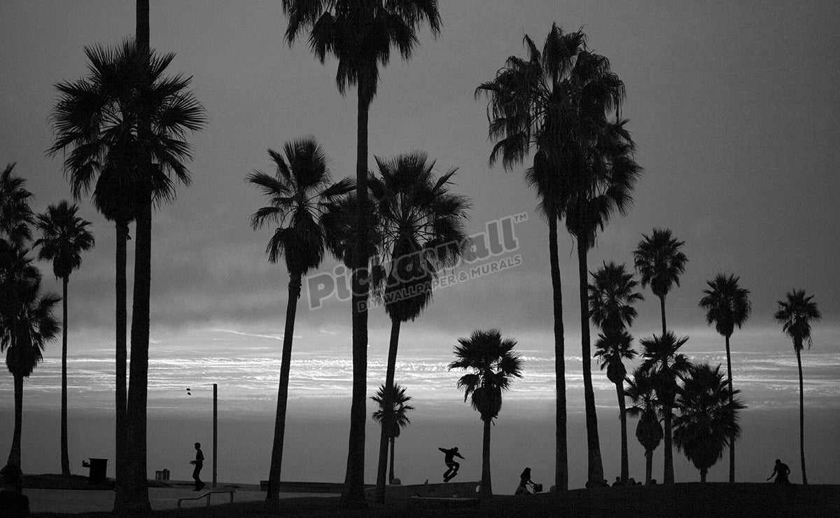 Venice Beach, Palm Trees, B&W