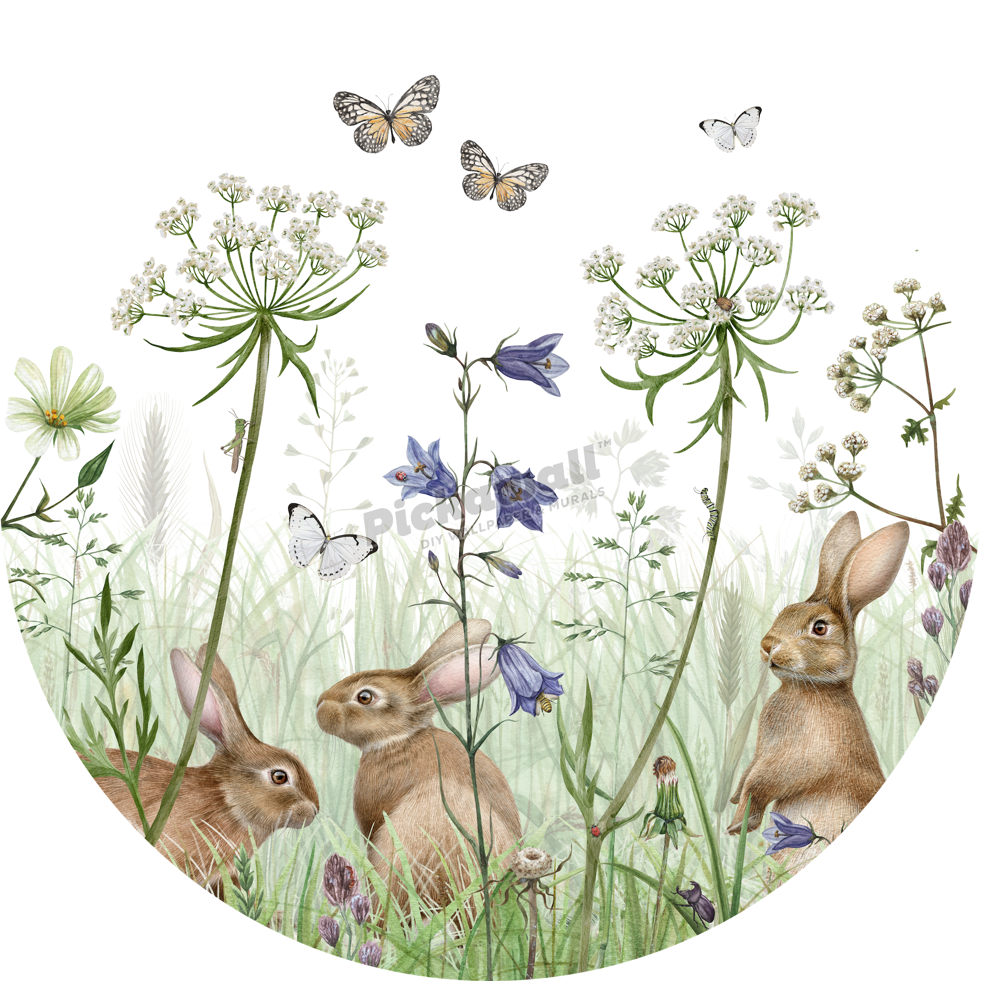 In the Undergrowth Decal by Kikki Belle - Circle 1m Diameter image