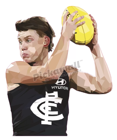 Sam Walsh by DG Designs X  AFL - Sam Walsh Decal image