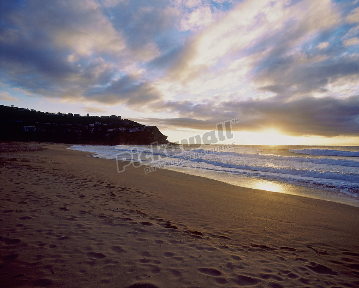 Whale Beach Australia