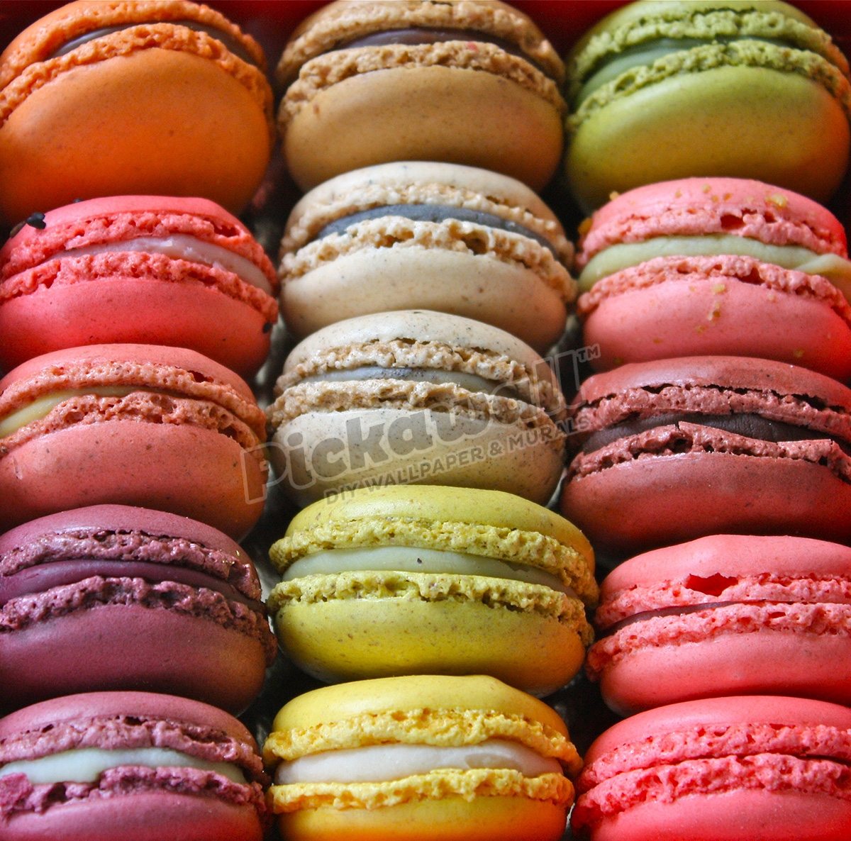 Paris Colorful Macaroons