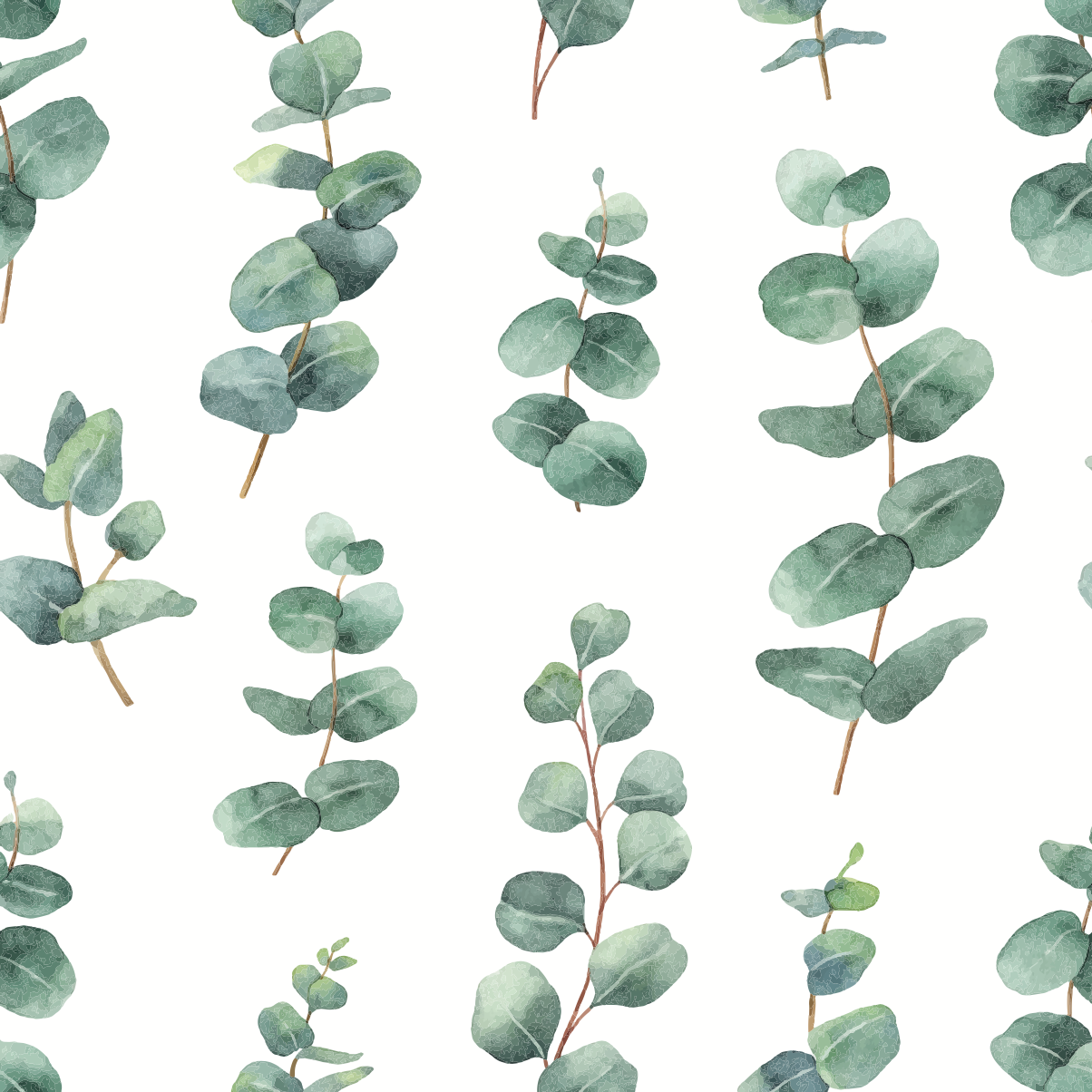 Watercolour silver dollar eucalyptus leaves