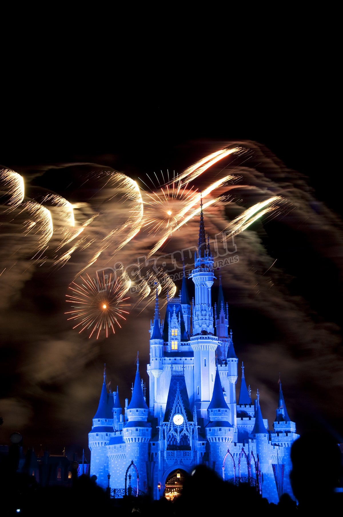 Magic Kingdom castle Disney World