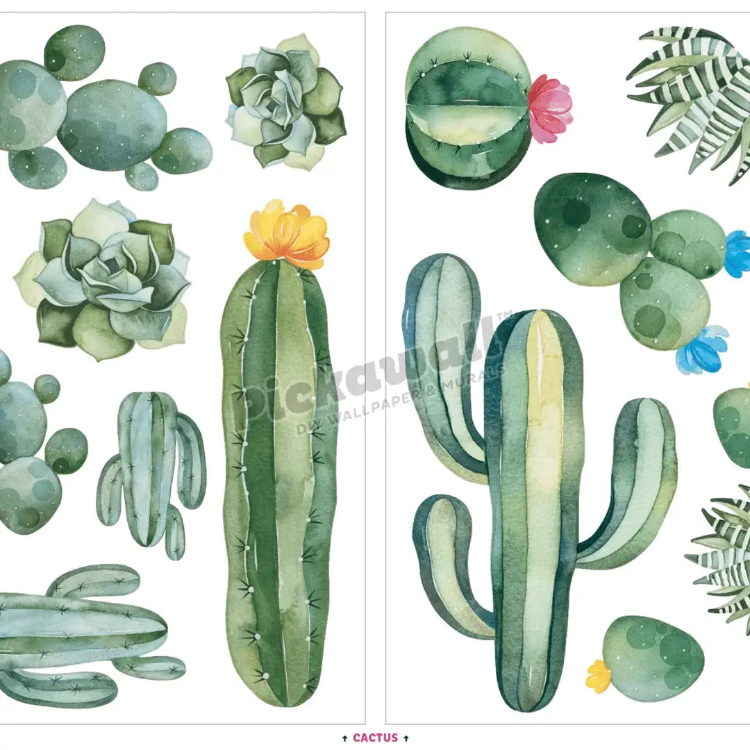 Watercolor cactus and succulent illustrations arranged on a white background, with a large vertical green cactus in the center-right panel and smaller cacti, succulents, and flowers around it. A faint 'PIckawall!' watermark is visible across the artwork.
