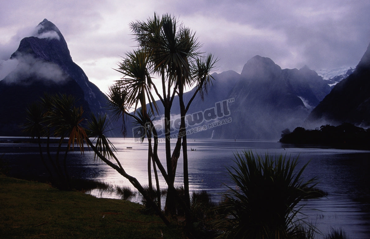 Milford Sound in morning mist.