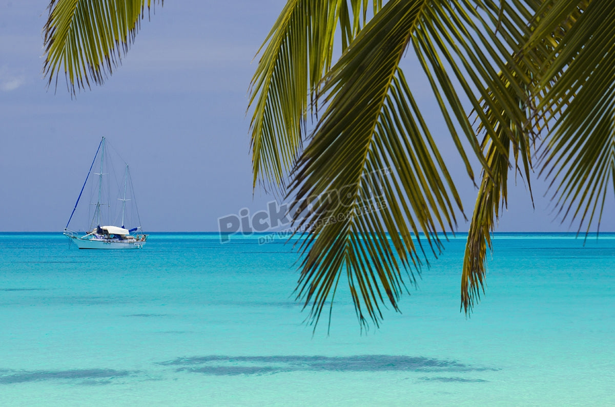 Yacht anchored in palm-fringed lagoon.